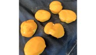 Oranjesoesjes afbeelding